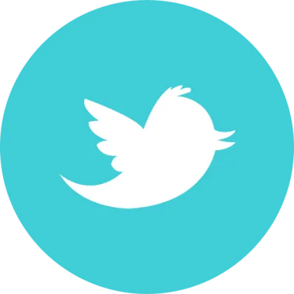 ⭐Twitter +30 粉丝 2007-2024 老号 auth_token + 附带已开启2FA